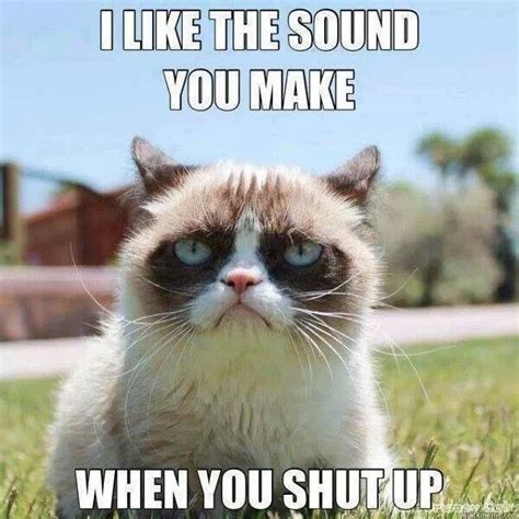 grumpy cat i like the sound you make when you shut up grumpy cat humor grumpy cat quotes