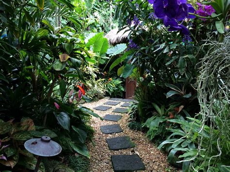 Tropical Garden,tropical path | Small tropical gardens, Low maintenance garden design, Tropical ...