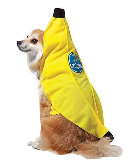 Banana Dog Costume By Chiquita Zulily Large Dog Costumes Cute Dog