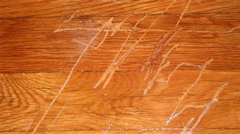 Hardwood Floor Scratch Repair Wax Flooring Images