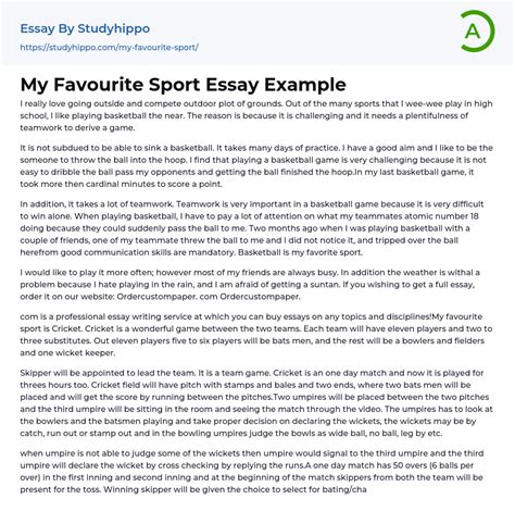 My Favourite Sport Essay Example