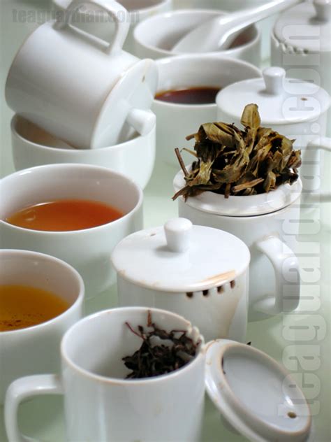 Tea Tasting A Step By Step Guide Tea Guardian