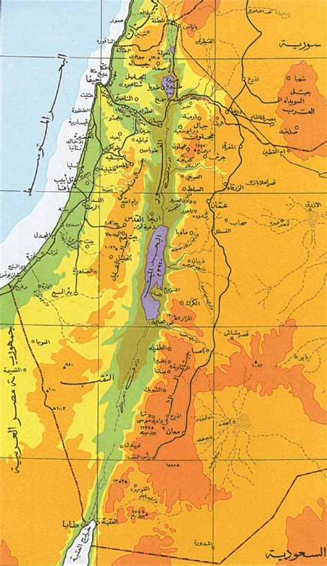 الاحتلال يسيطر على أكثر من 85 من فلسطين التاريخية فلسطين أون لاين