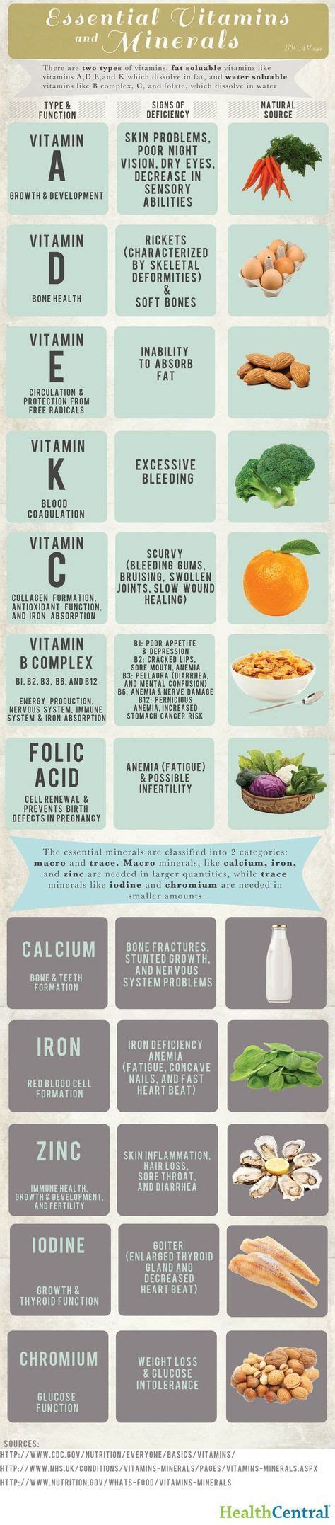 This Infographic Explains The Two Main Categories Of Vitamins And Which