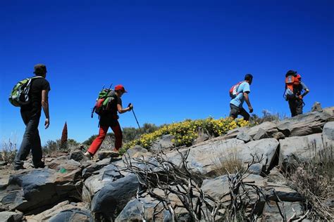 Best Hiking Trails In The Canary Islands CanaryStay