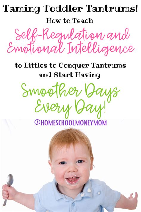 Toddler Tantrums Dealing With Them Effectively Homeschool Money Mom