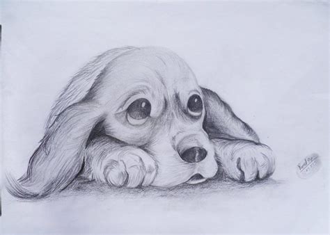 Dibujo De Perrito Por Romel T2 Animales Dibujo De