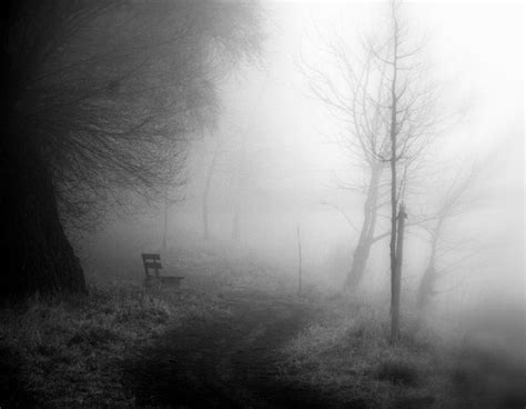 Themes Foggy Landscape Melancholy Of Nature Mist Fog Sadness