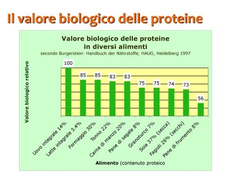 Biomolecole 4 Proteine