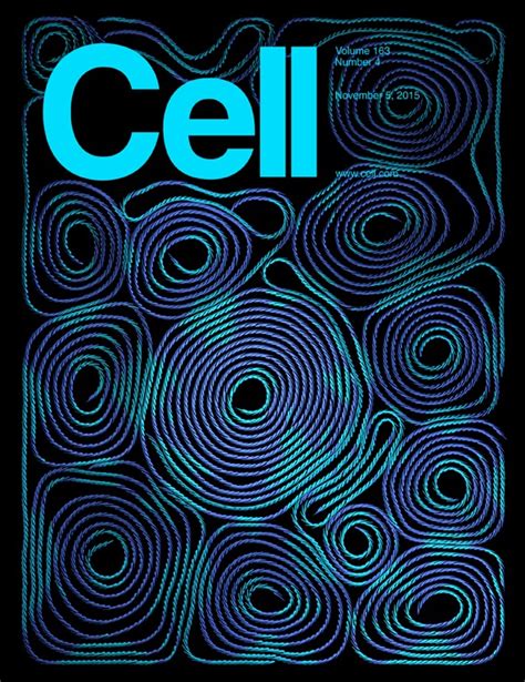 Issue Cell