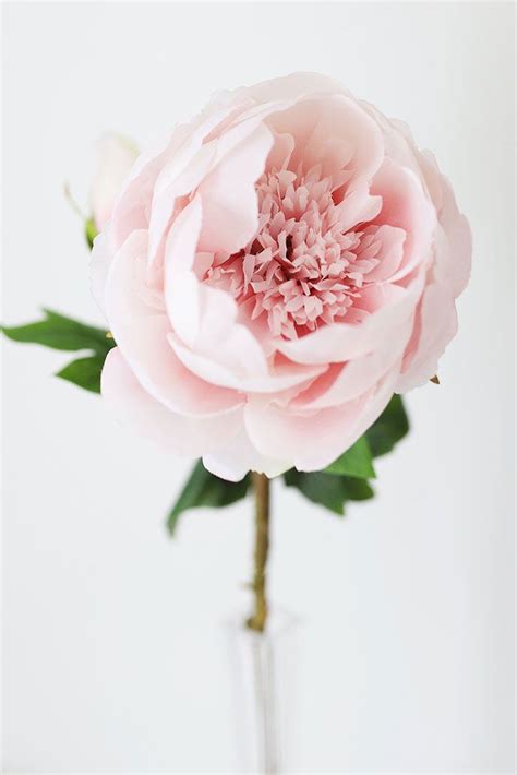 Silk Peony In Light Pink 24 Tall In 2020 Wedding Flowers Silk