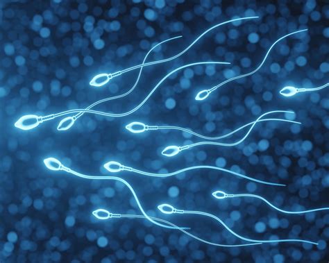 New Genetic Variations Discovered In Swimming Behavior Of Sperm Cells Techno Blender