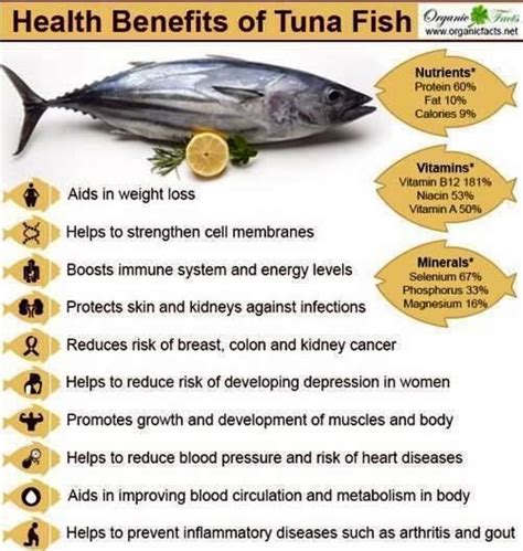Tuna Benefits Tuna Health Benefits Tuna Benefits Nutrition Recipes