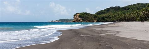 Why You Should Visit Destination Dominica