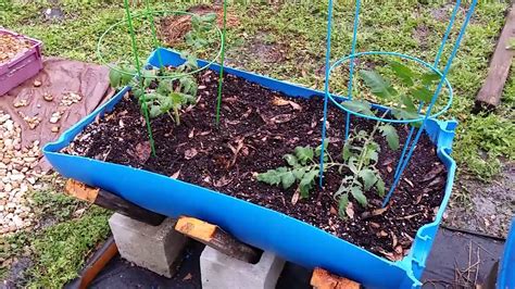 Easy Cheap Diy Vegetable Container Garden Ep 63 Youtube