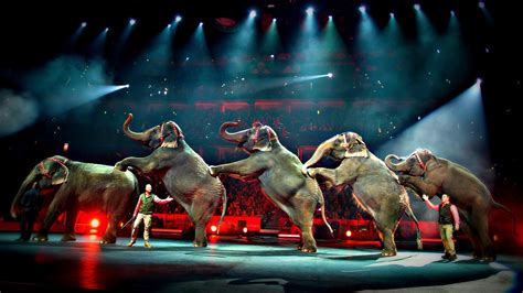 Ringling Brothers And Barnum And Bailey Circus To Stop Elephant Acts By