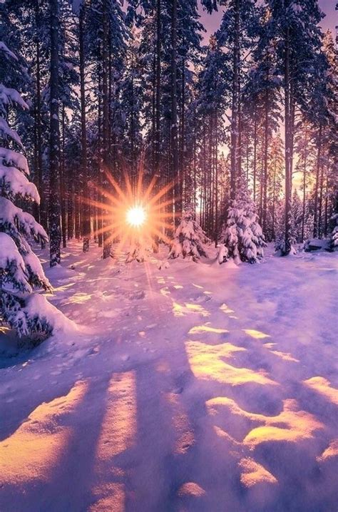 ภเгคк ค๓๏ Winter Pictures Winter Scenery Winter Landscape