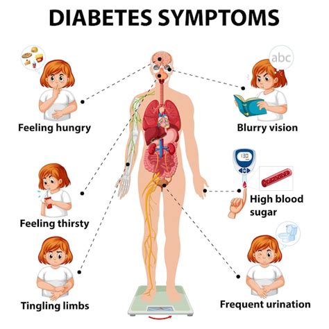 Diabetes Symptomen Informatie Infographic Gratis Vector