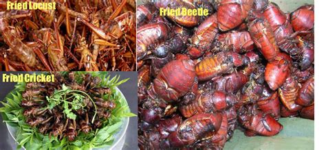 Top 12 Pinoy Exotic Food ~ Time To Laugh
