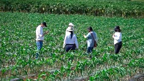 Autorizan Traslado De 200 000 Millones Al Fondo De Fomento Para La