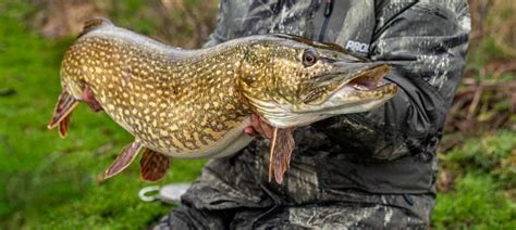 Your Guide To Catching More Pike On Lures With Mick Brown