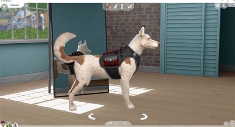 Service Dog Vest By Dayh111 At Mod The Sims The Sims 4 Catalog