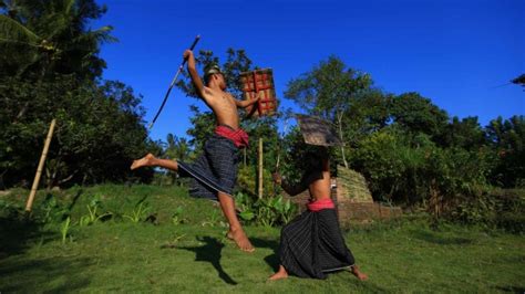 Peresean Tradisi Unik Pertarungan Gladiator Ala Suku Sasak Lombok