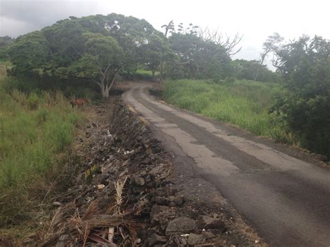 Hienaloli Kahului Road Kailua Kona Big Island Chris Ponsar Mai Sra