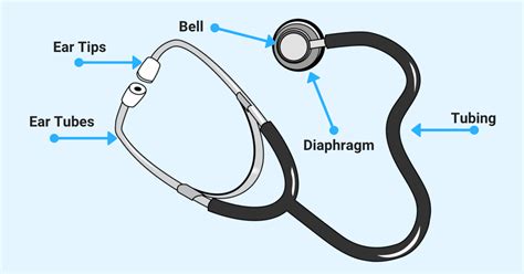 Top 7 Parts Of A Stethoscope Labeled 2022 Explained 2022