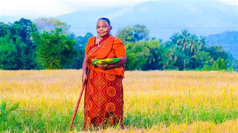 Climate Smart Agriculture To Improve Resilience And Productivity In Sri