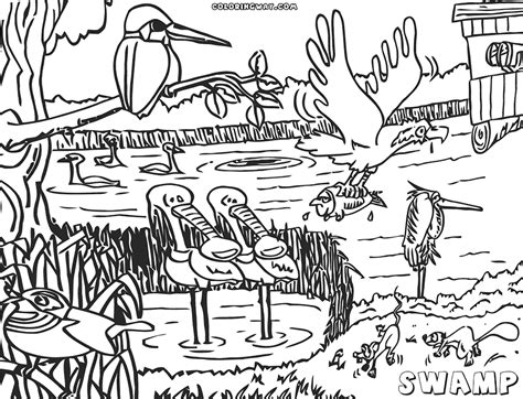 Swamp coloring pages | Coloring pages to download and print