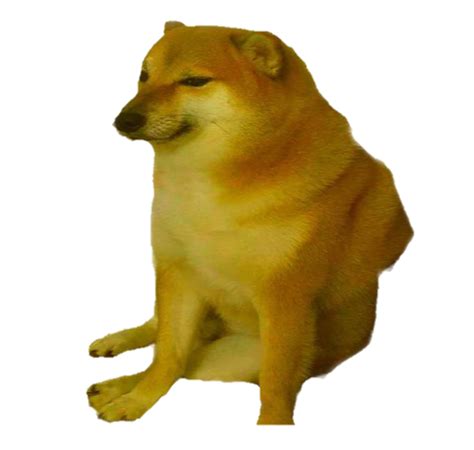Share the best gifs now >>> Cheem, the classic doge meme usually involving words ...