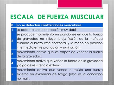 Escala De Forca Muscular Sololearn