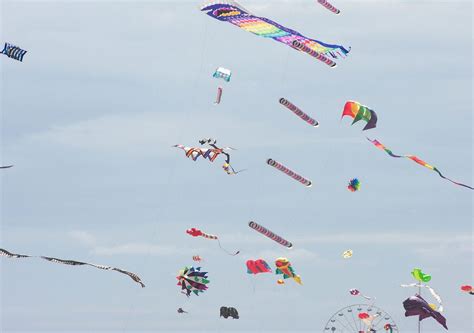Colorful Kites Galore Free Stock Photo Public Domain Pictures