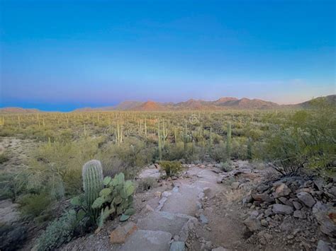 Saguaro National Park West In Tucson Arizona Usa Hiking Trail Stock