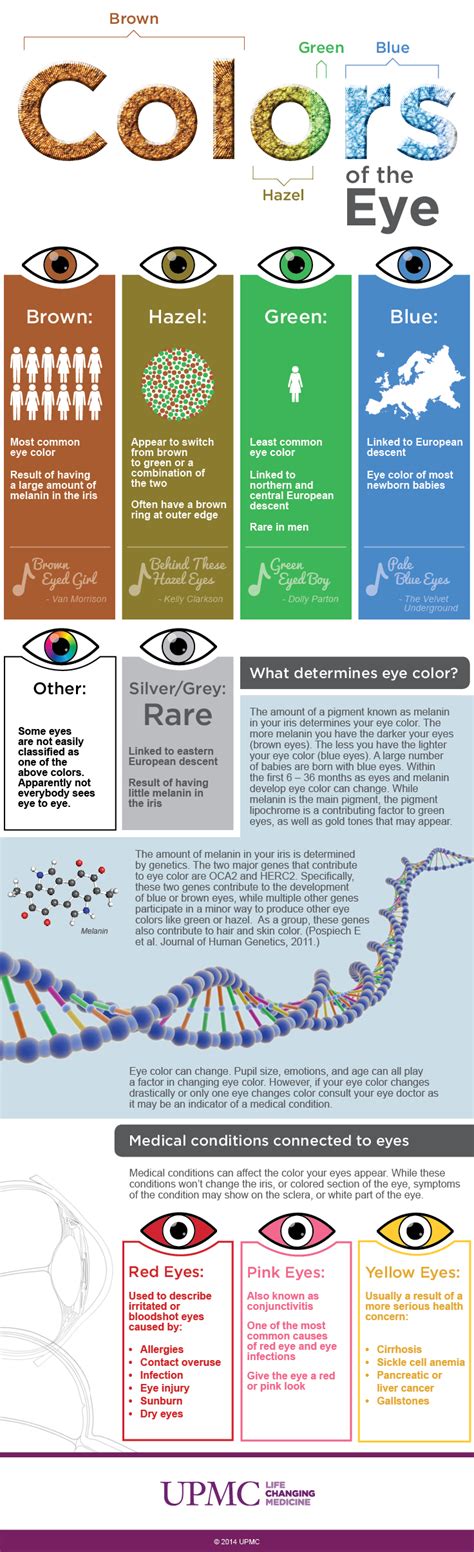 Infographic Eye Color Breakdown Guide Upmc Healthbeat What Your Eye