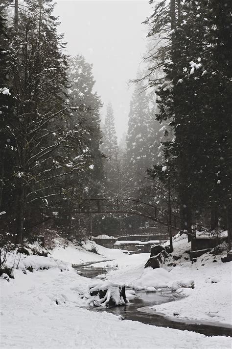 River Bridge Snow Trees Winter Hd Phone Wallpaper Peakpx