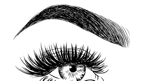 Drawing Of Eyebrows