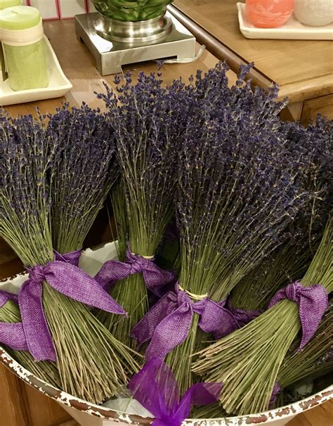 Dried French Lavender Bunch - DIRECT FROM PROVENCE! - European Splendor®