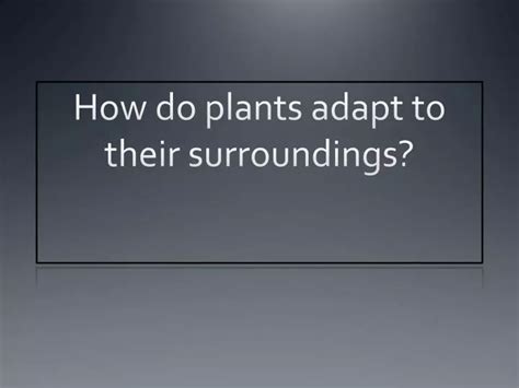 Ppt How Do Plants Adapt To Their Surroundings Powerpoint