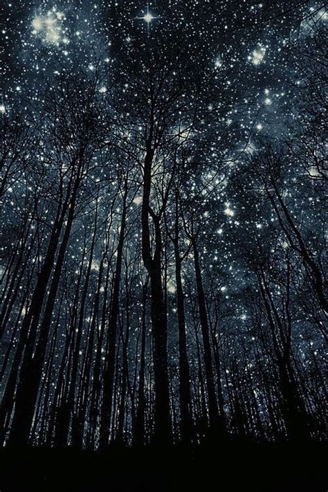 Darkness Forest Galaxy Sky Stars Trees Tumblr Image 3476248 By