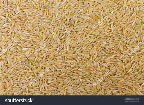 Gaba Rice Background Germinated Brown Rice Stock Photo 220033270