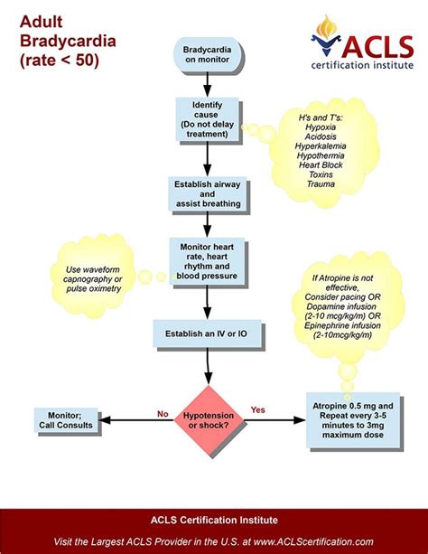 If slow heart rate is due to the effect of medication or toxic exposure, this must be treated medically. Pin by Summer Faris on Nursing 101 | Acls medications ...