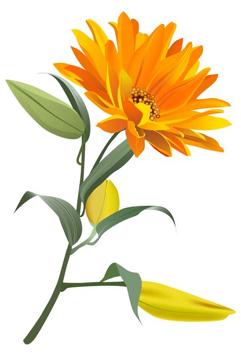 Orange Flower Png Clip Art Image Clipart Best Clipart Best