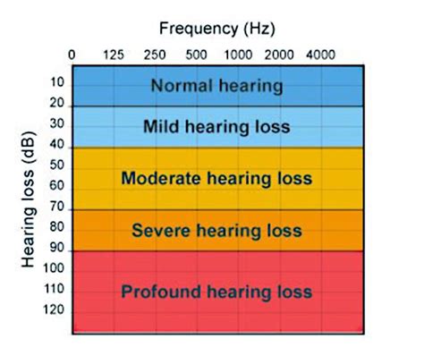 Hearing Loss Best Hearing Aid Centre