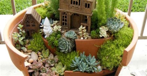 Succulent Planter To Make Awesome Indoor Garden Homesfeed