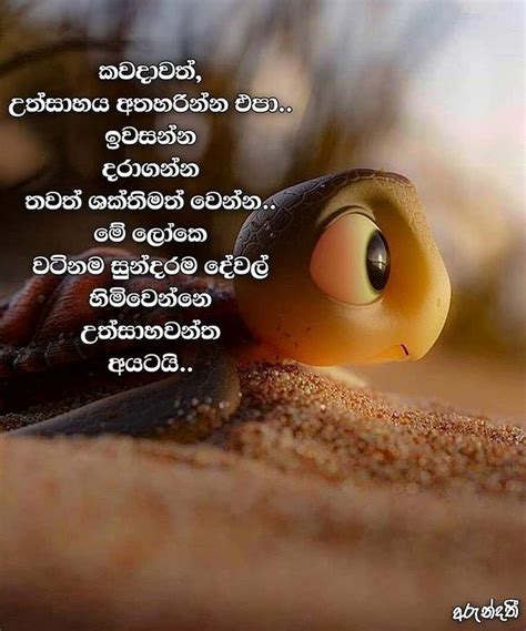 Buddhist Morning Wishes Sinhala Adara Nisadas New