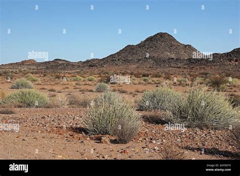 Scrubland Africa Hi Res Stock Photography And Images Alamy