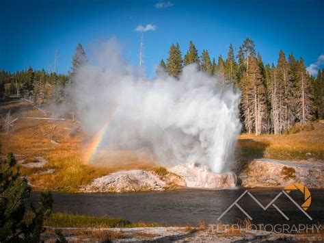 Riverside Geyser Erupting With A Beautiful Rainbow Next To It
