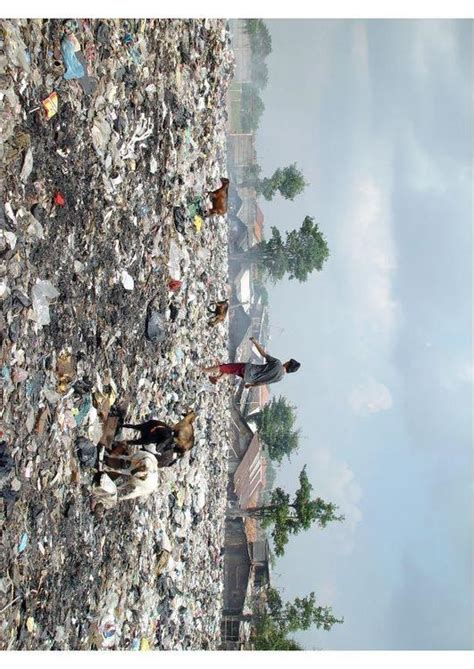 Photo Slums In Jakarta Free Printable Photos Img 7737